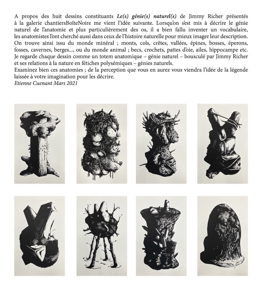 Jimmy Richer, Les(s) géni(e)s naturel(s)